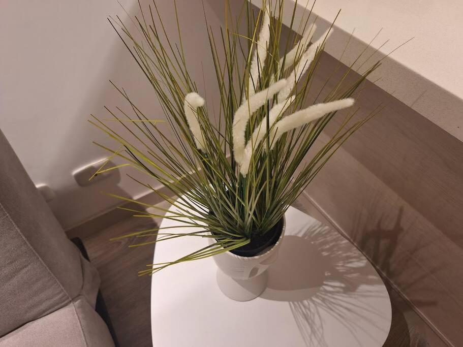 Apartamento Ii *